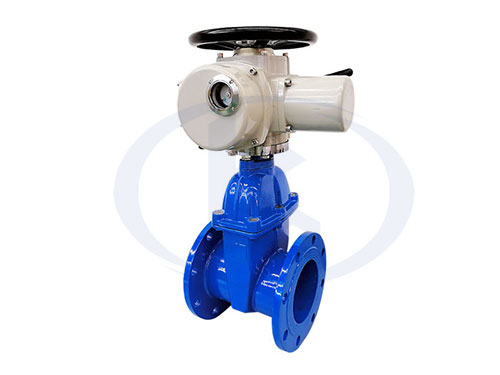 電動(dòng)暗桿閘閥