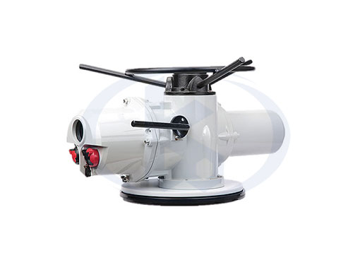 VQ型多回轉(zhuǎn)電動(dòng)執(zhí)行器