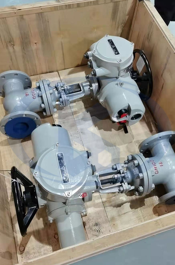 電動閘閥打包中