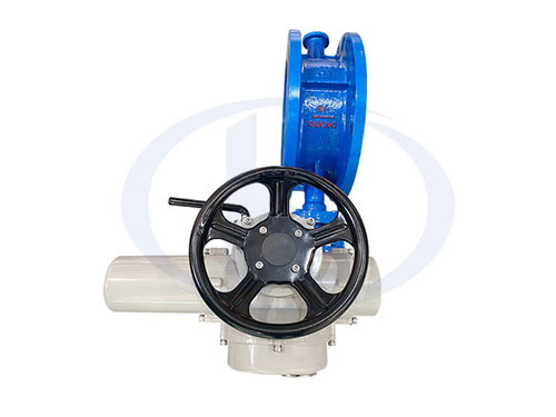 電動(dòng)雙偏心蝶閥